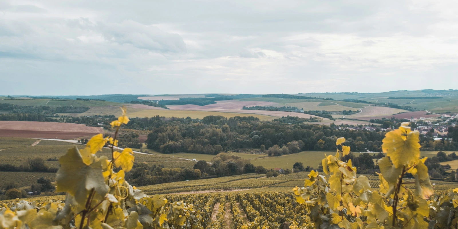 BUT GMP à Brest : Opportunités de Carrière