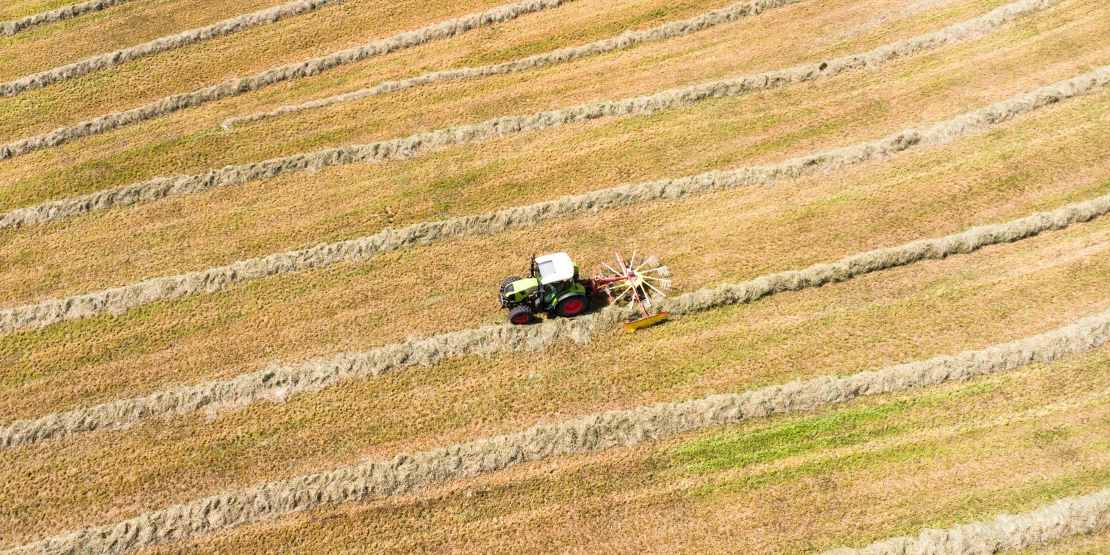 BUT GMP à Toulouse : Opportunités et Défis